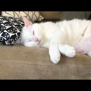 Meet your Posher, Caralee